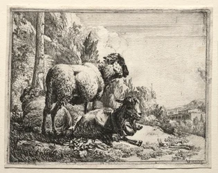 Geit met bel, 1665
