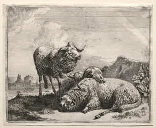 Ram en Twee Schapen