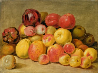 Stukken fruit