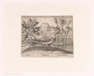 Serie prenten met bloemen en dieren in een landschap