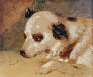 Hondenkop