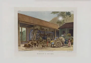 De suikerfabriek. Uit Malerische Reise in Brasilien, 1830-1835