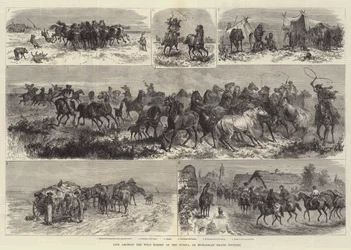 Leven tussen de wilde paarden van de Puszta, of Hongaarse heide