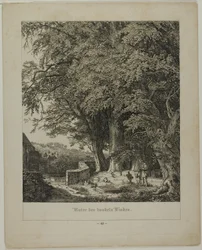 Onder de lommerrijke lindeboom