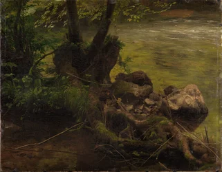 Wortels en stenen bij de beek