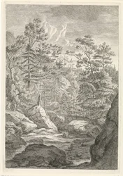 Ravijn met bomen en een beekje