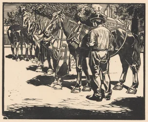 Rijpaarden op een plein