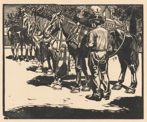 Rijpaarden op een plein