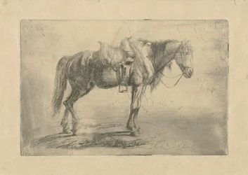 Gezadeld paard naar rechts