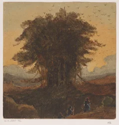 De boom met vele vogels