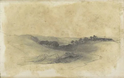 Heuvellandschap met bomen