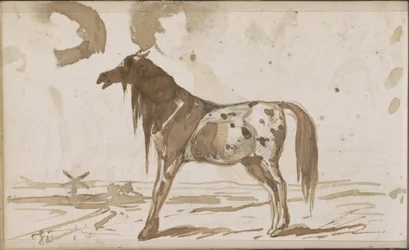 Vlak landschap met een paard