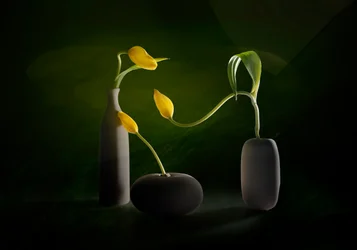 Groene en gele bloemenvazen