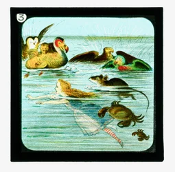 Alice in Wonderland, gekleurde lantaarnplaten