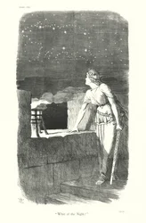 Sir John Tenniel cartoon: "Wat van de Nacht?"