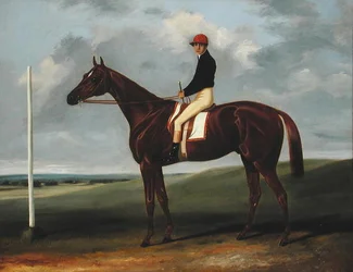 Kastanjebruine Hengst met Jockey en Startpaal