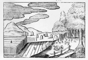 Vruchten van de aarde, 1658