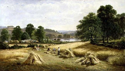 Het Gouden Graan Verzamelen bij Bishopsteignton, Plymouth