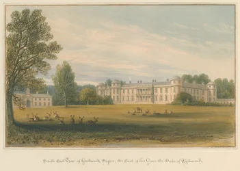Sussex - Goodwood