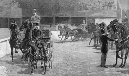 Paren, onder 15 handen, 1891