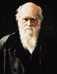 Portret van de Engelse natuuronderzoeker Charles Darwin (detail)