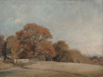 Een herfstlandschap in East Bergholt