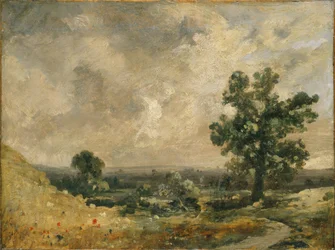 Engels landschap