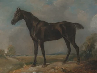 Golding Constables zwarte rijpaard, tussen 1805 en 1810