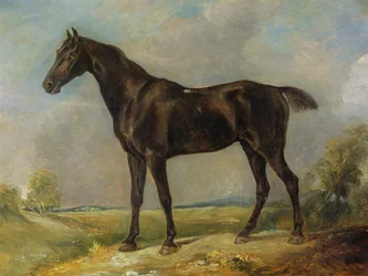 Golding Constables zwarte rijpaard, ca. 1805-10