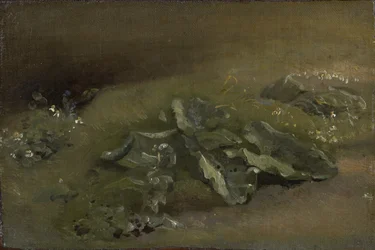 Studie van een klis, ca. 1810-14 of ca. 1828