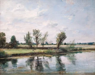 Waterweiden bij Salisbury