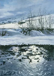 Schuur onder Combescar, 1996