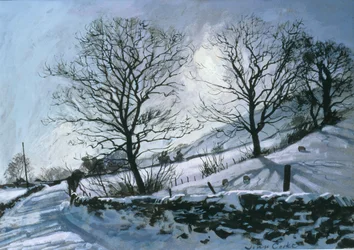 Wintermiddag in Dentdale