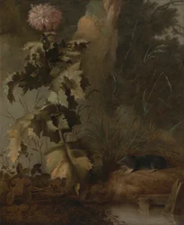 Een Egyptische Papaver en een Watermuis