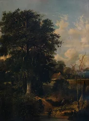 Landschap