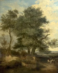 Bomen bij een Beek