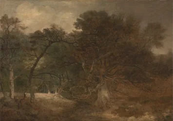 Boslandschap nabij Norwich