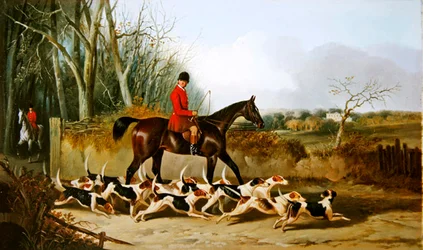 Crocteth Harriers, achterkant van Stanfield