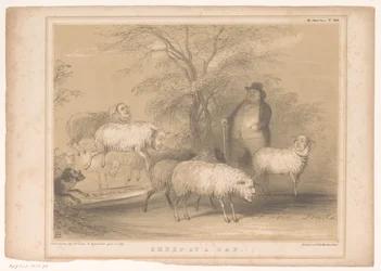 Spotprent met Britse schapen