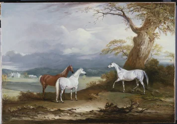 De merries van Lord Macdonald op het terrein van Thorpe Hall, Rudston, Yorkshire, 1836