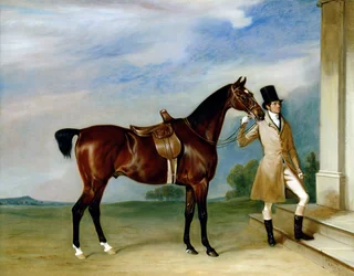 De Bay Hunter van Miss Villebois vastgehouden door een Staljongen