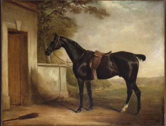 Portret van Buckle, het jachthond van First Lord Chesham, 1836