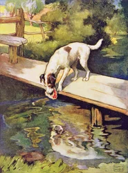 De hond en de schaduw uit 