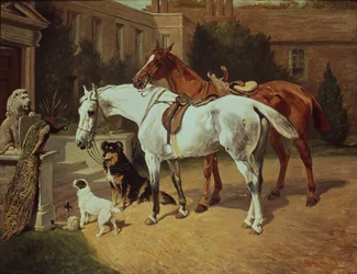 Paarden en honden