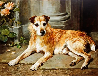 Scherp