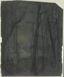 Boslandschap