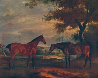 Yorkshire jagers op gras, ca. 1840, 1922