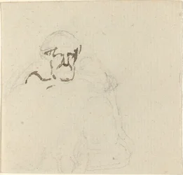 Behaarde Figuur