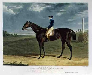 Cadland, de winnaar van de Derby Stakes in Epsom