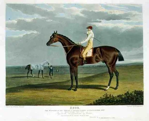 Ebor, winnaar van de Great St. Leger in Doncaster